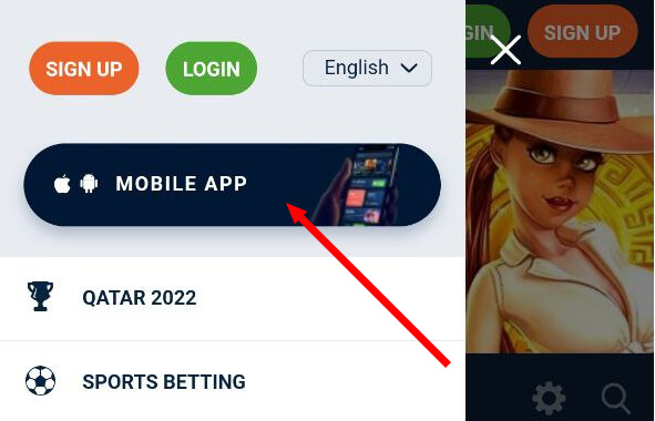 20bet mobile app section — Mobile App button