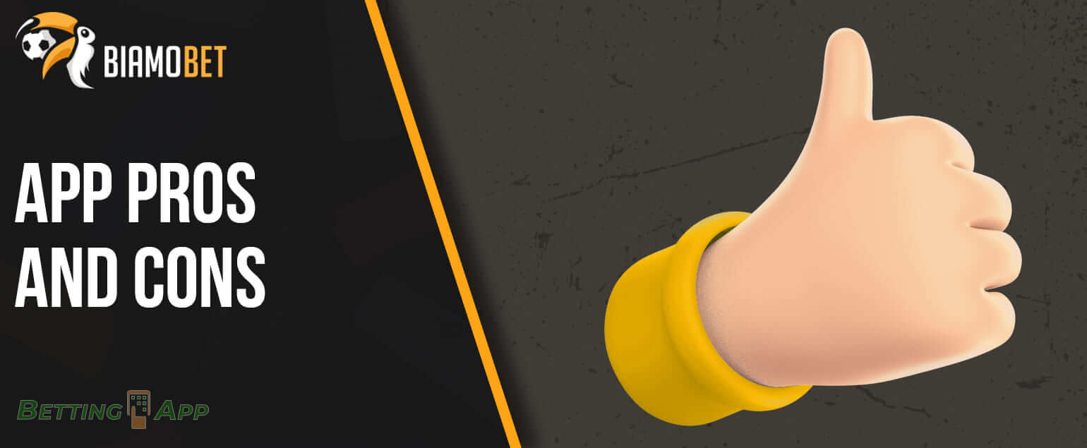 The main advantages and disadvantages of the Biamo mobile app 