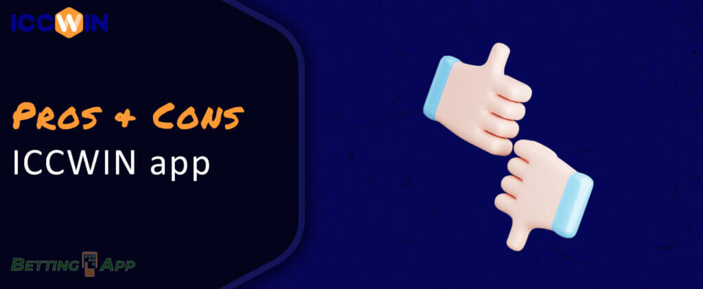 Main advantages and disadvantages of the ICCWIN application