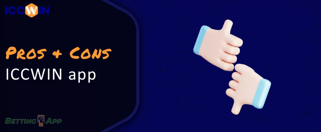 Main advantages and disadvantages of the ICCWIN application