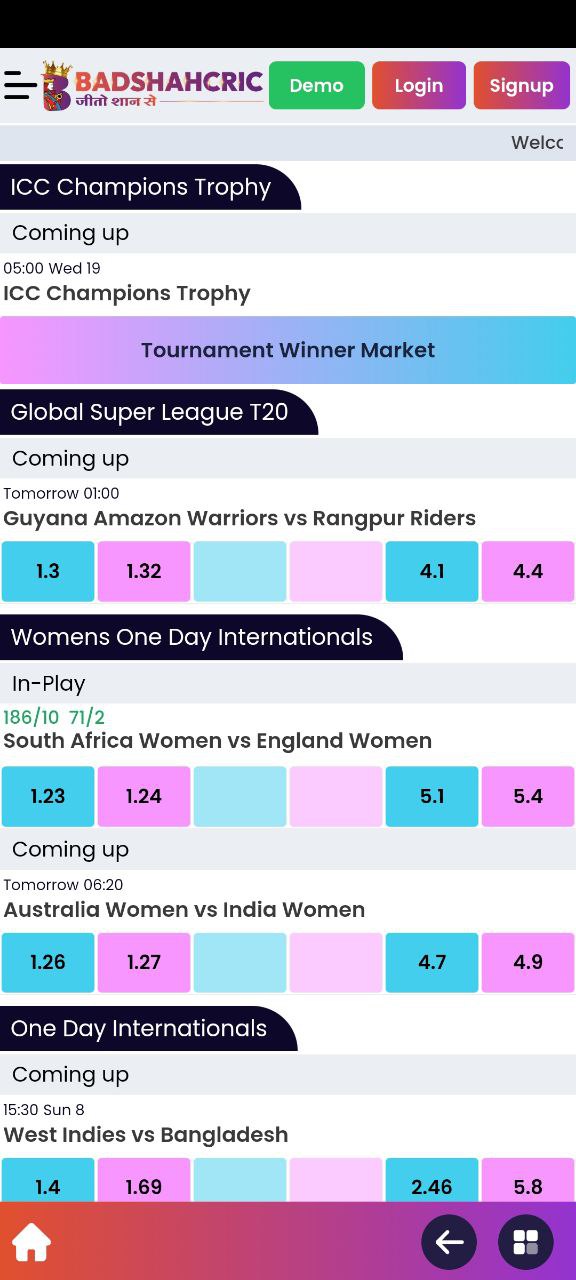 Badshahcric App Screenshot 1
