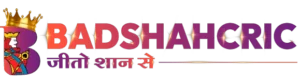 Badshahcric logo