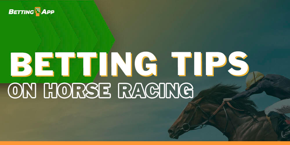 Betting Tips on Horse Racing Betting Apps