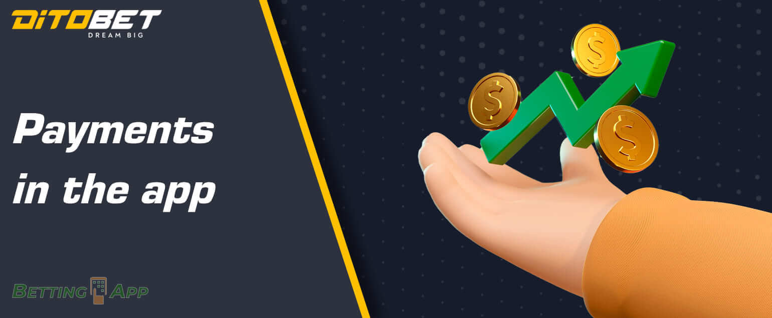 Payment methods available for Indian users in the DitoBet app