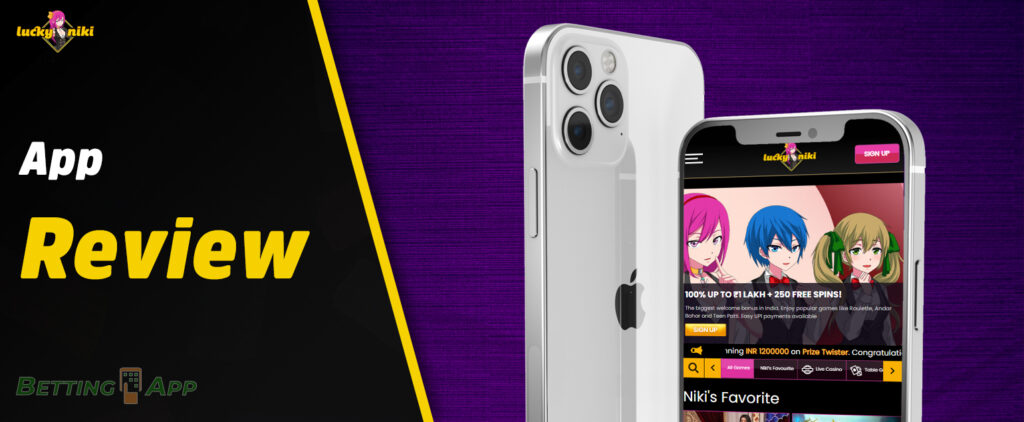 General characteristics of the LuckyNiki online casino application
