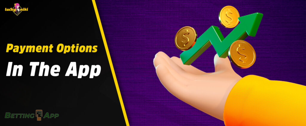 Payment methods for deposit and withdrawal in LuckyNiki app 