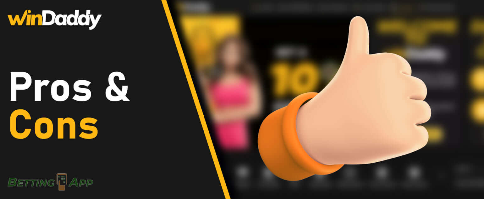 The main advantages and disadvantages of the Windaddy mobile app for Indian users