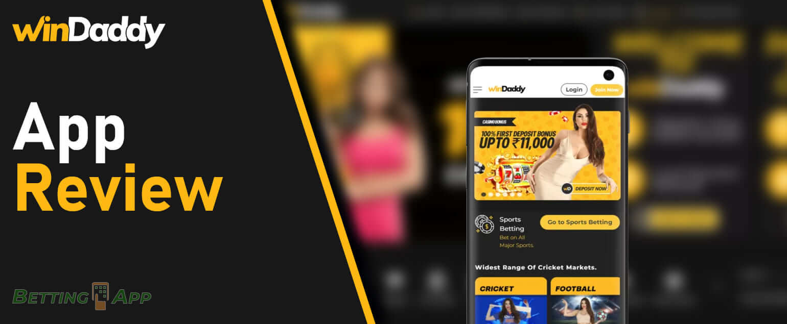  Windaddy application features and technical requirements