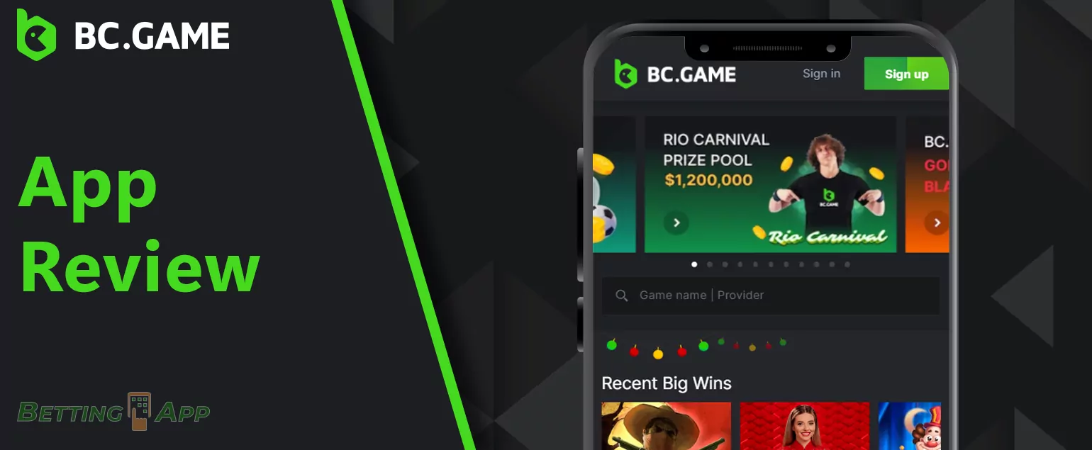 Table with full details of the BC Game mobile app