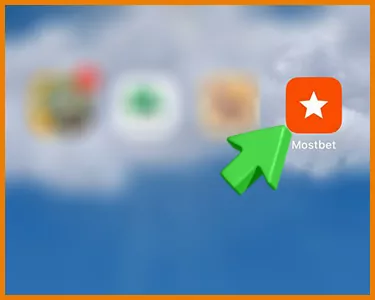 Launch the application