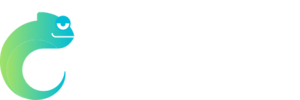 betzest logo