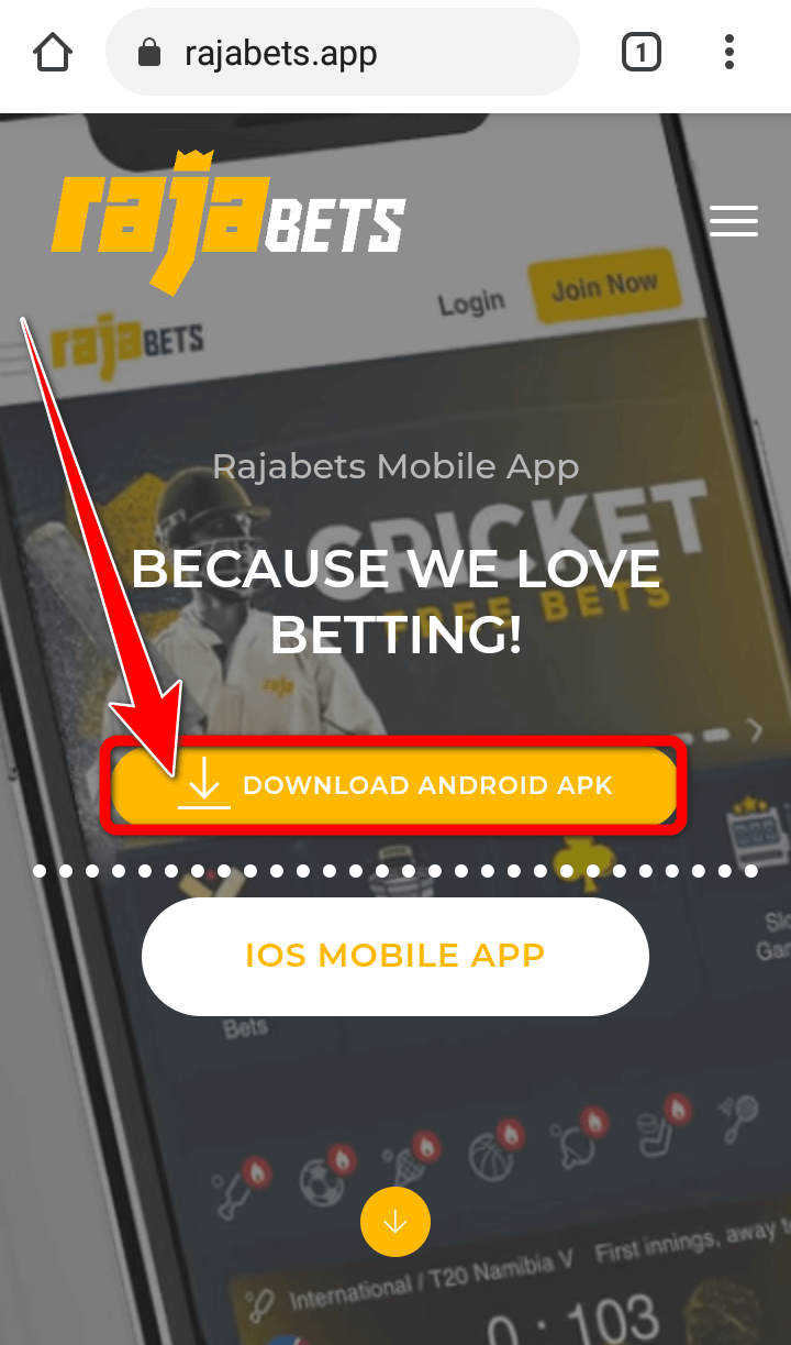rajabets app apk download